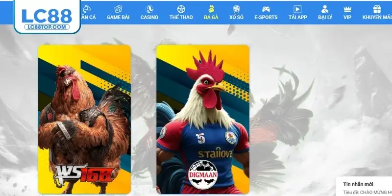 Phiên live trực tiếp đá gà đều được diễn ra minh bạch 100%