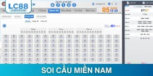 thumb-soi-cau-mien-nam